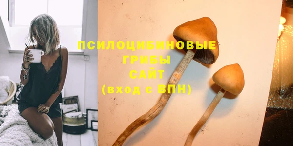 дживик Абинск