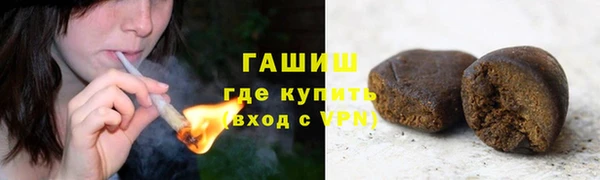 гидра Абаза