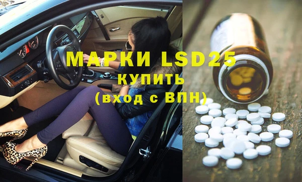 индика Алексин