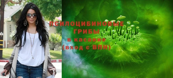 дживик Абинск