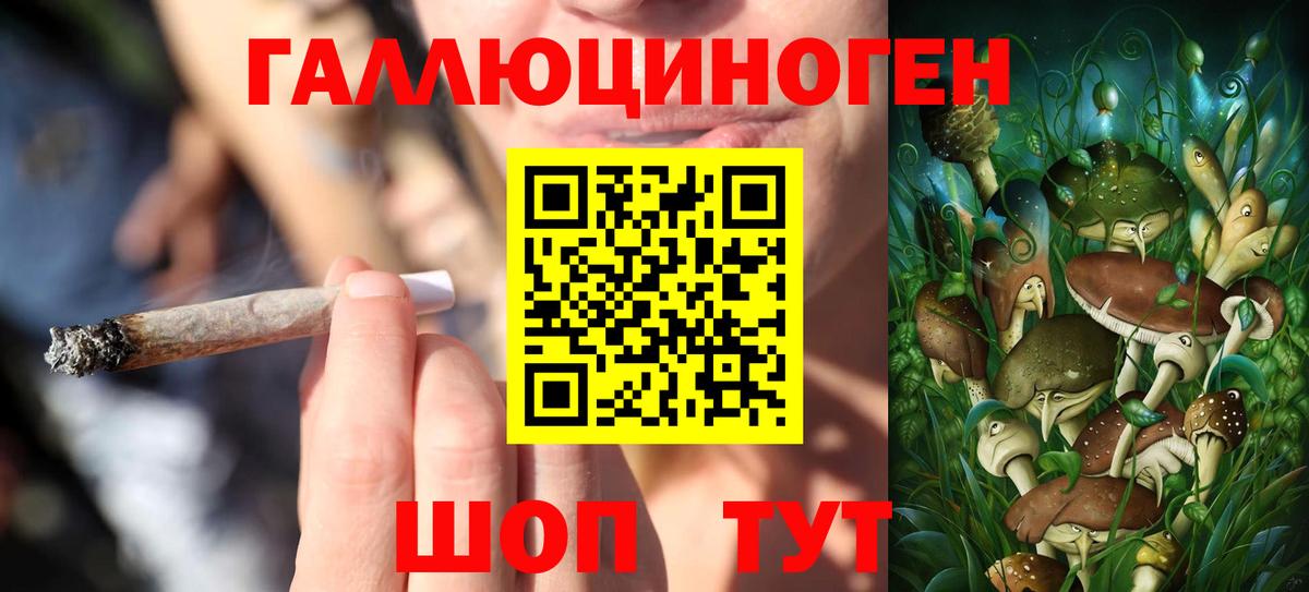 Октябрьский  купить закладку  Галлюциногенные грибы Psilocybe  Вход с VPN  Псилоцибиновые грибы мицелий 